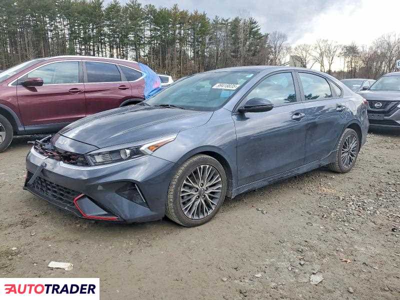 Kia Pozostałe 2023 2