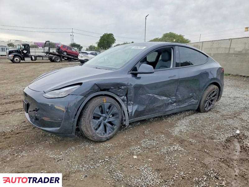 Tesla Model Y 2025