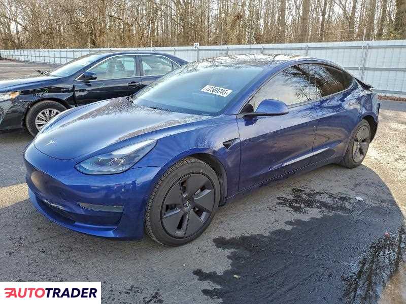 Tesla Model 3 2021