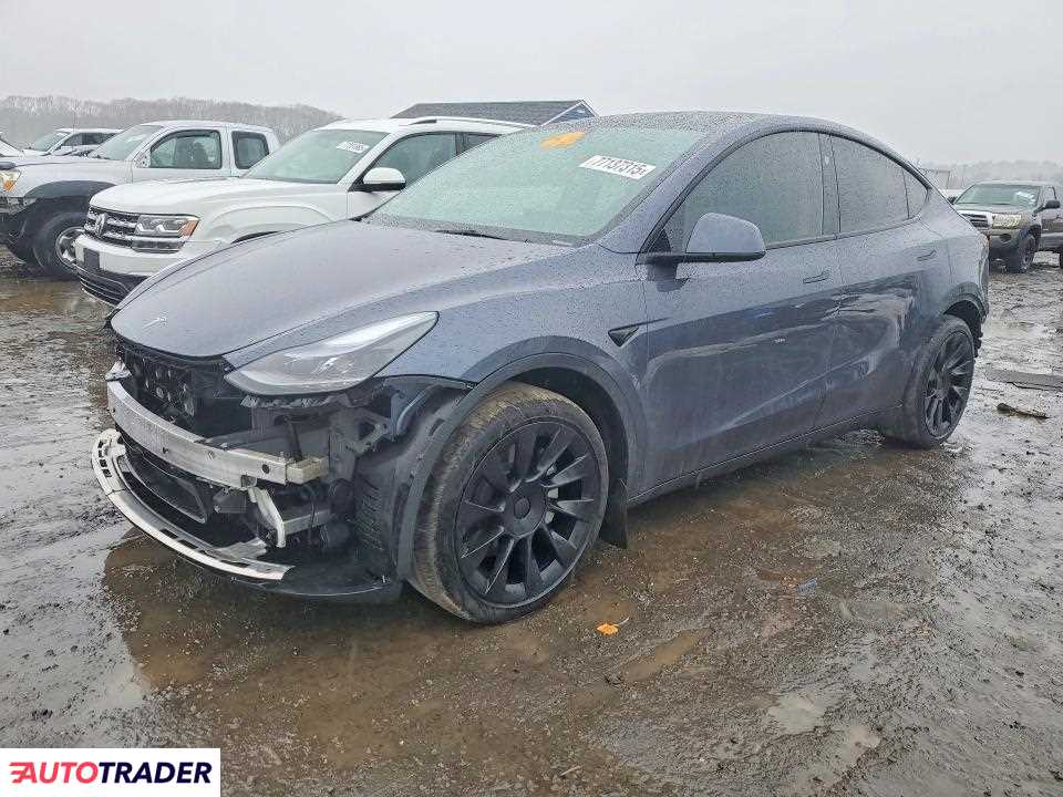 Tesla Model Y 2024