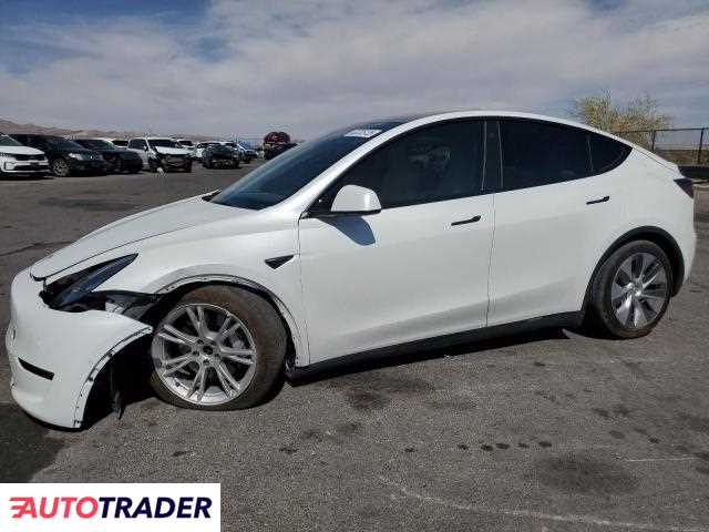 Tesla Model Y 2021 Tesla Model Y 2021