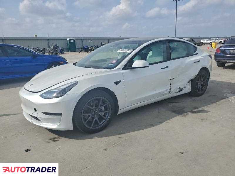 Tesla Model 3 2021