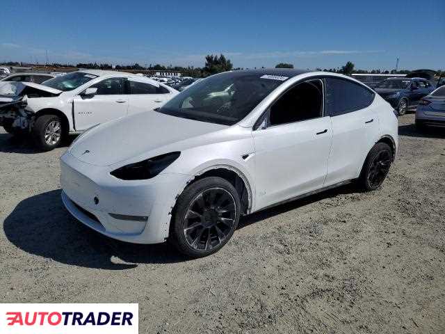 Tesla Model Y benzyna 2022r. (ANTELOPE)