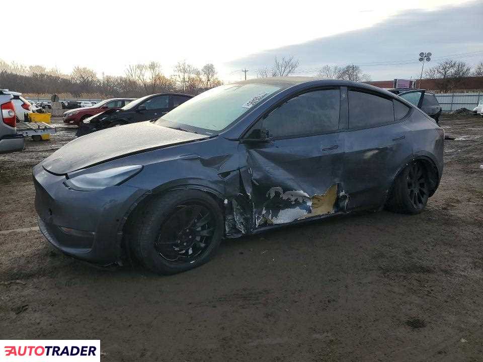 Tesla Model Y 2021