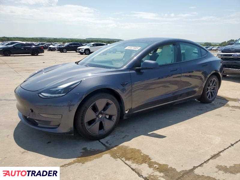 Tesla Model 3 2021
