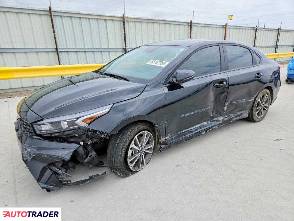 Kia Pozostałe 2024 2
