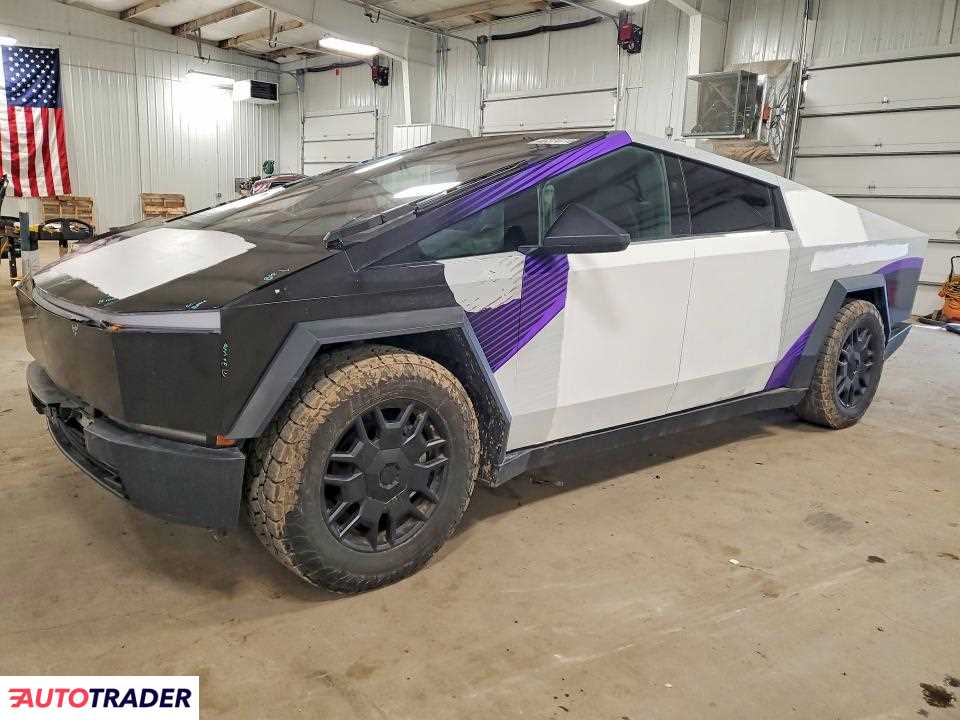Tesla Pozostałe 2024