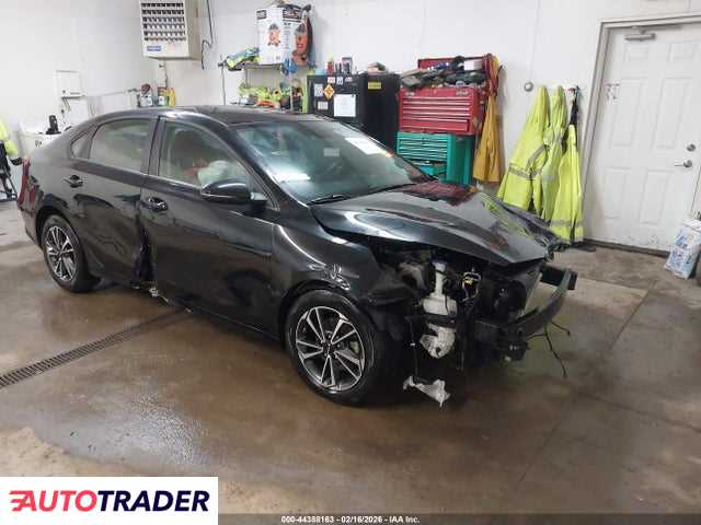 Kia Pozostałe 2024 2