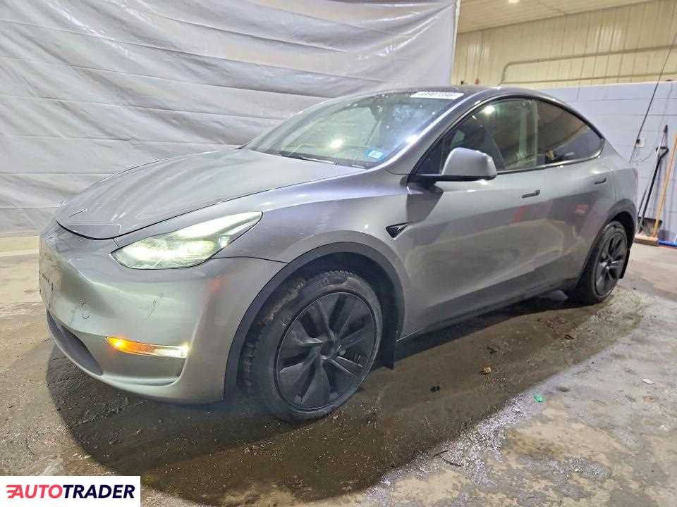 Tesla Model Y 2024