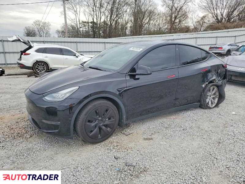 Tesla Model Y 2021