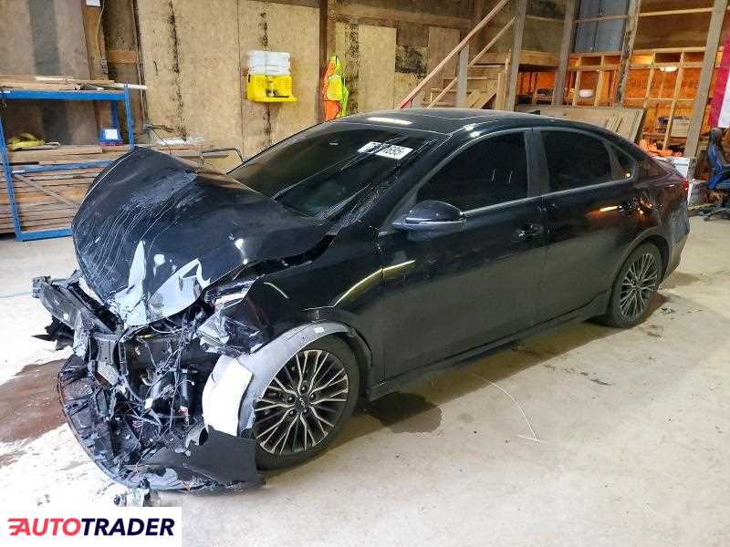 Kia Pozostałe 2024 2