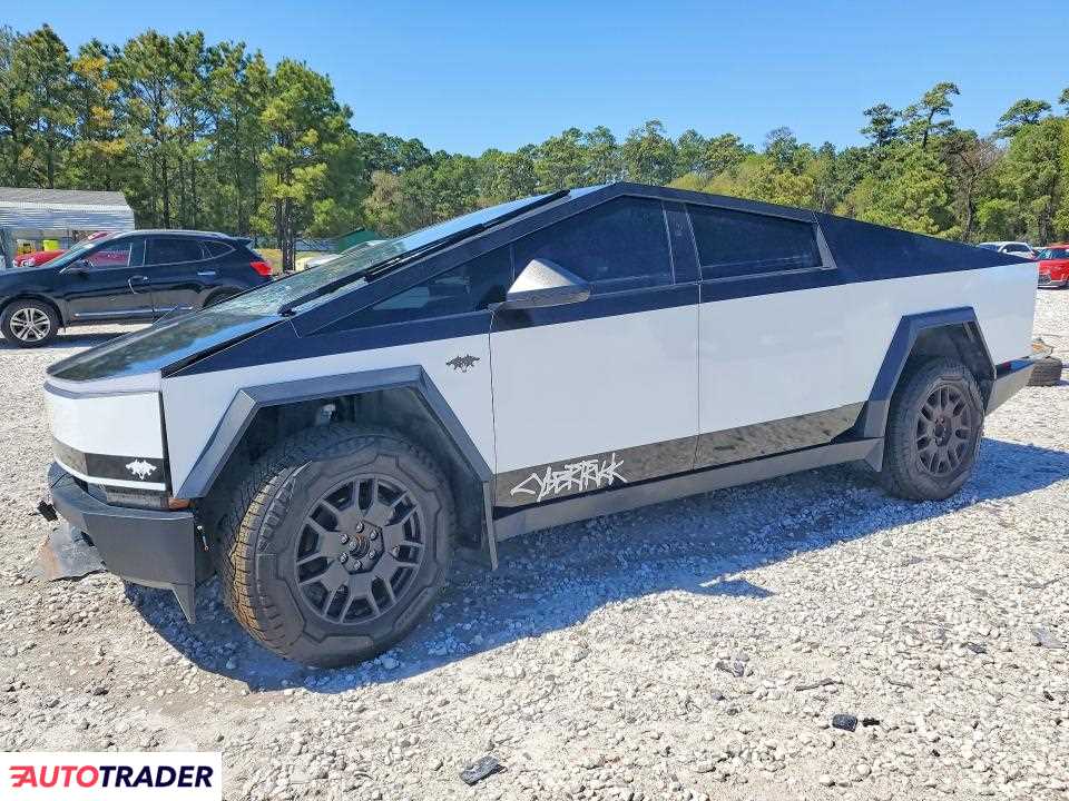 Tesla Pozostałe 2024