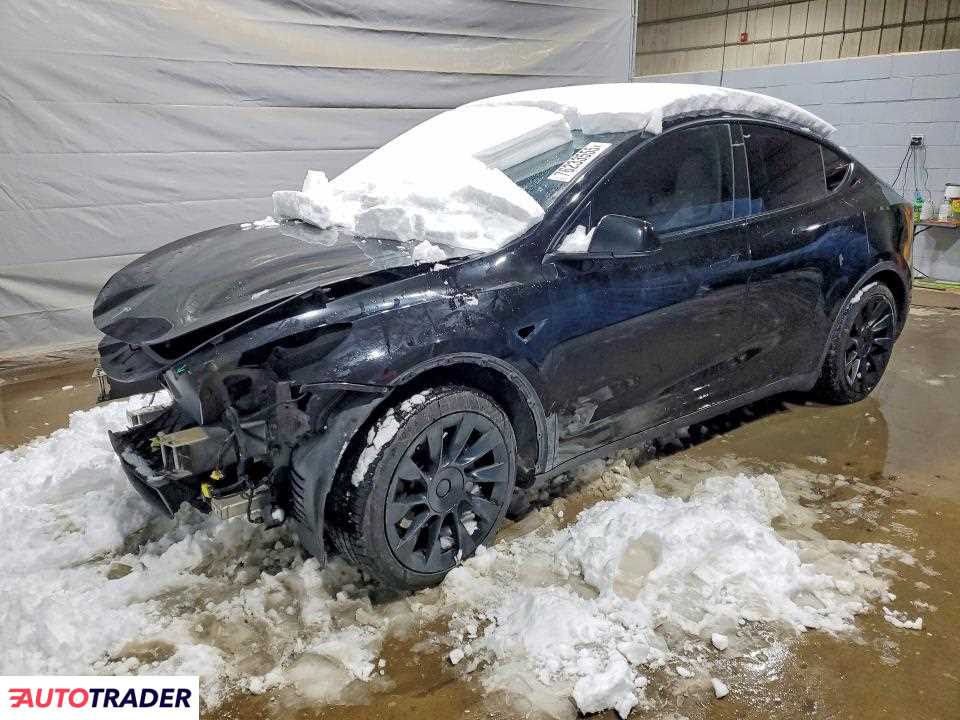 Tesla Model Y 2021