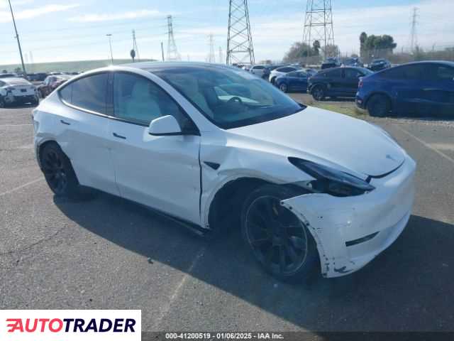 Tesla Model Y 2021 Tesla Model Y 2021
