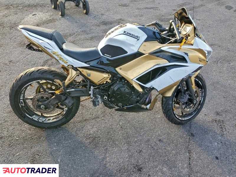 Kawasaki Pozostałe 2020