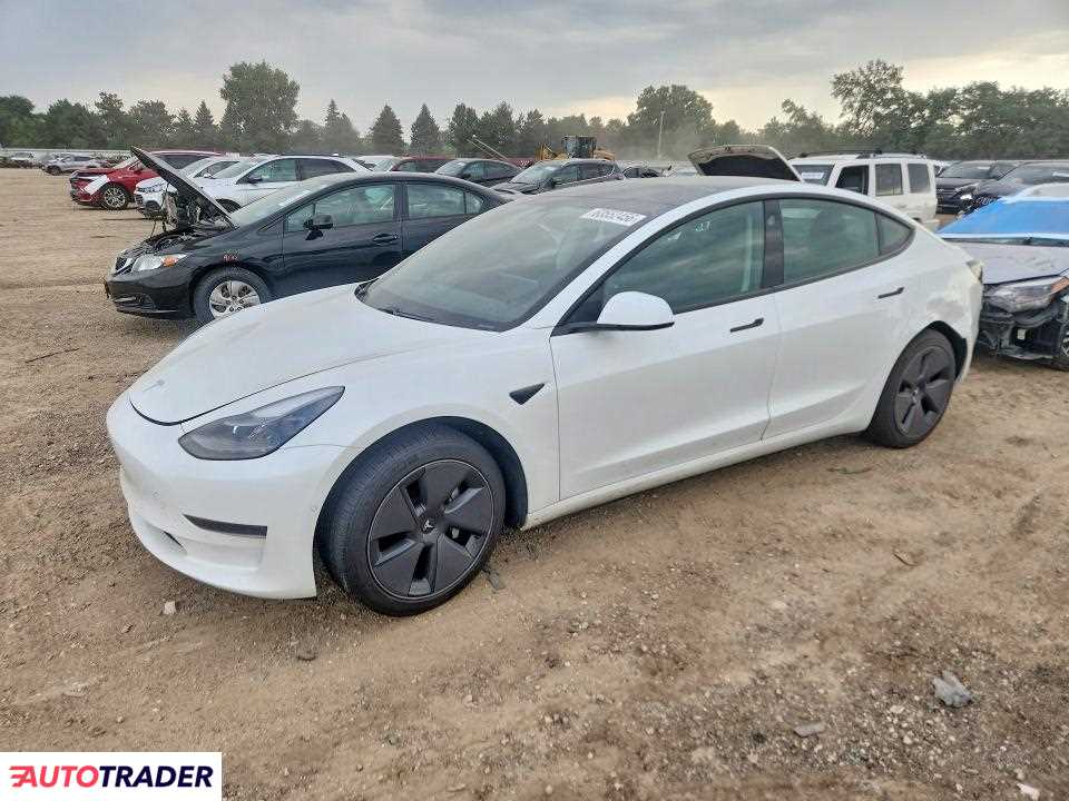 Tesla Model 3 2021