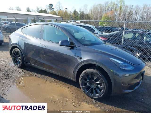 Tesla Model Y 2025