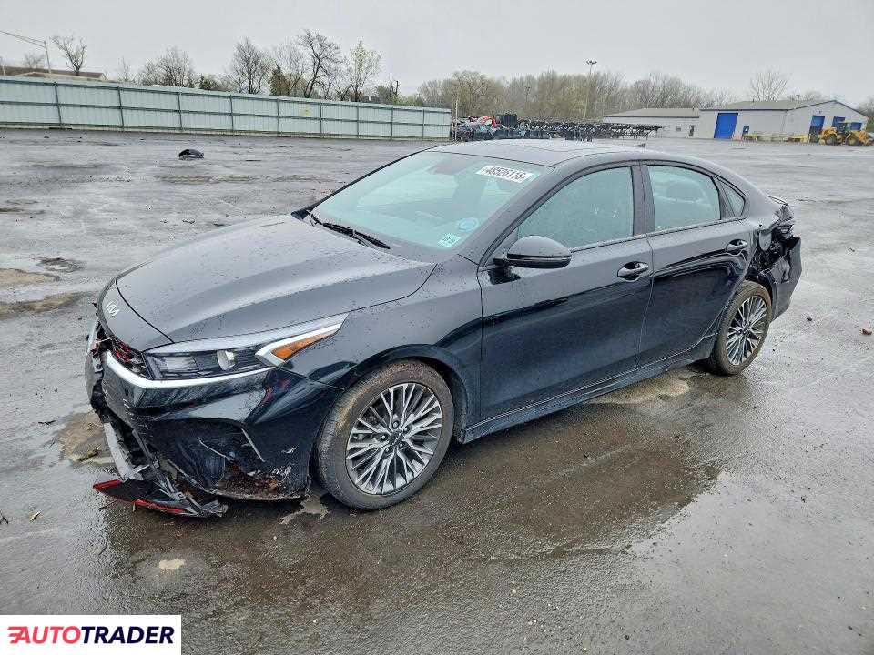 Kia Pozostałe 2024