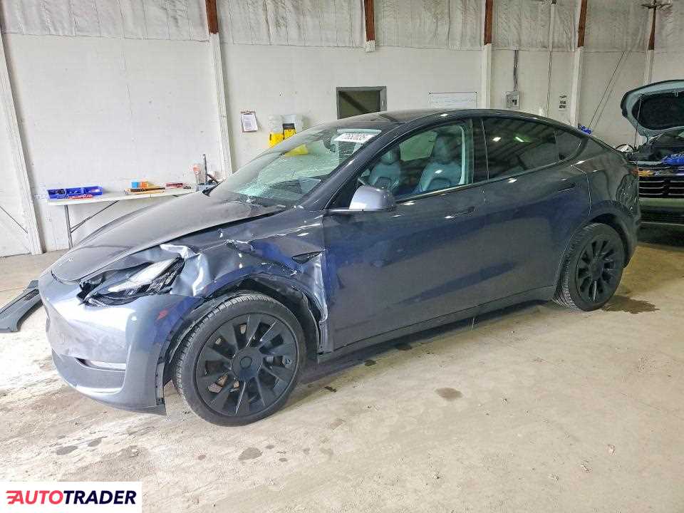 Tesla Model Y 2021