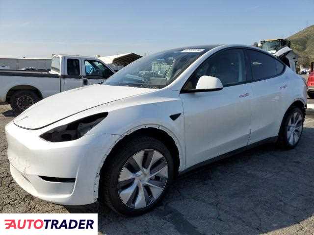 Tesla Model Y benzyna 2024r. (COLTON)