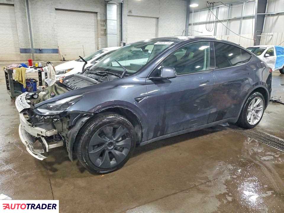 Tesla Model Y 2024