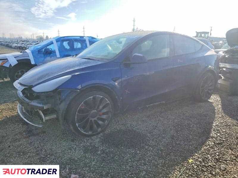 Tesla Model Y 2025