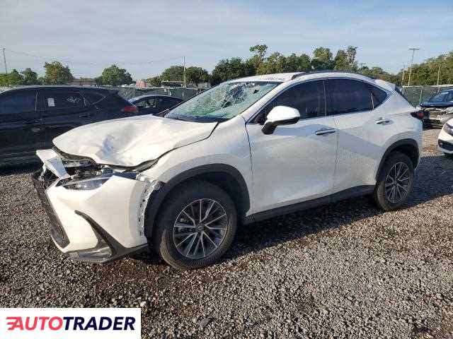 Lexus NX 2024 2