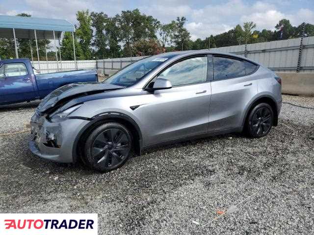 Tesla Model Y 2025