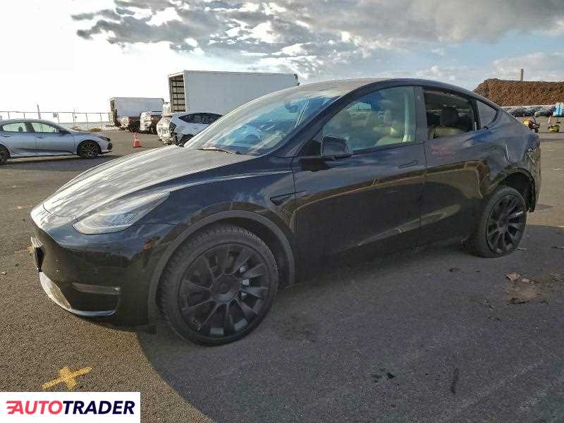 Tesla Model Y 2021