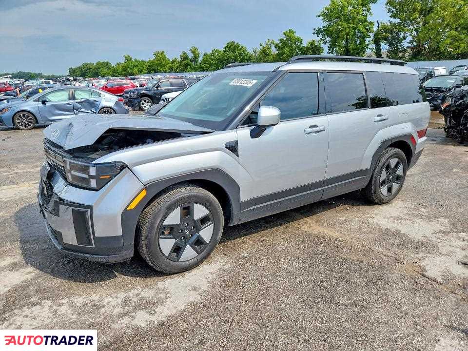 Hyundai Santa Fe 2024 1