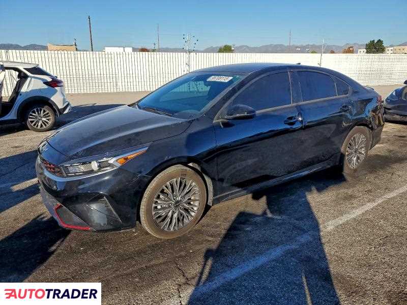 Kia Pozostałe 2024 2