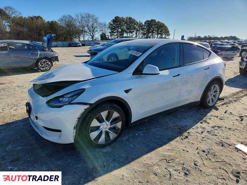 Tesla Model Y 2021