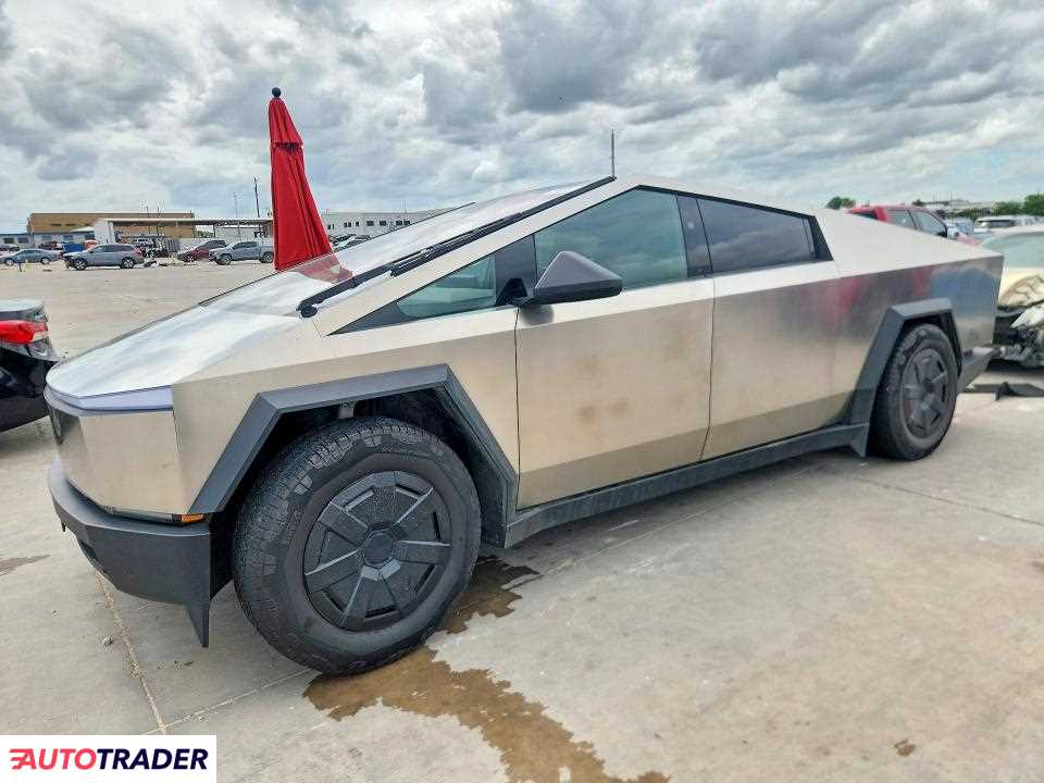 Tesla Pozostałe 2024