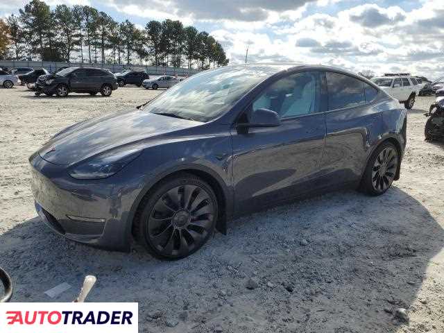 Tesla Model Y benzyna 2023r. (LOGANVILLE)