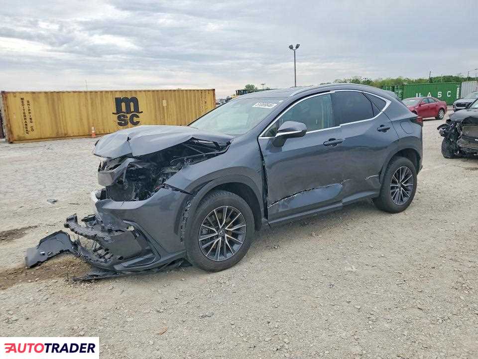 Lexus NX 2024 2
