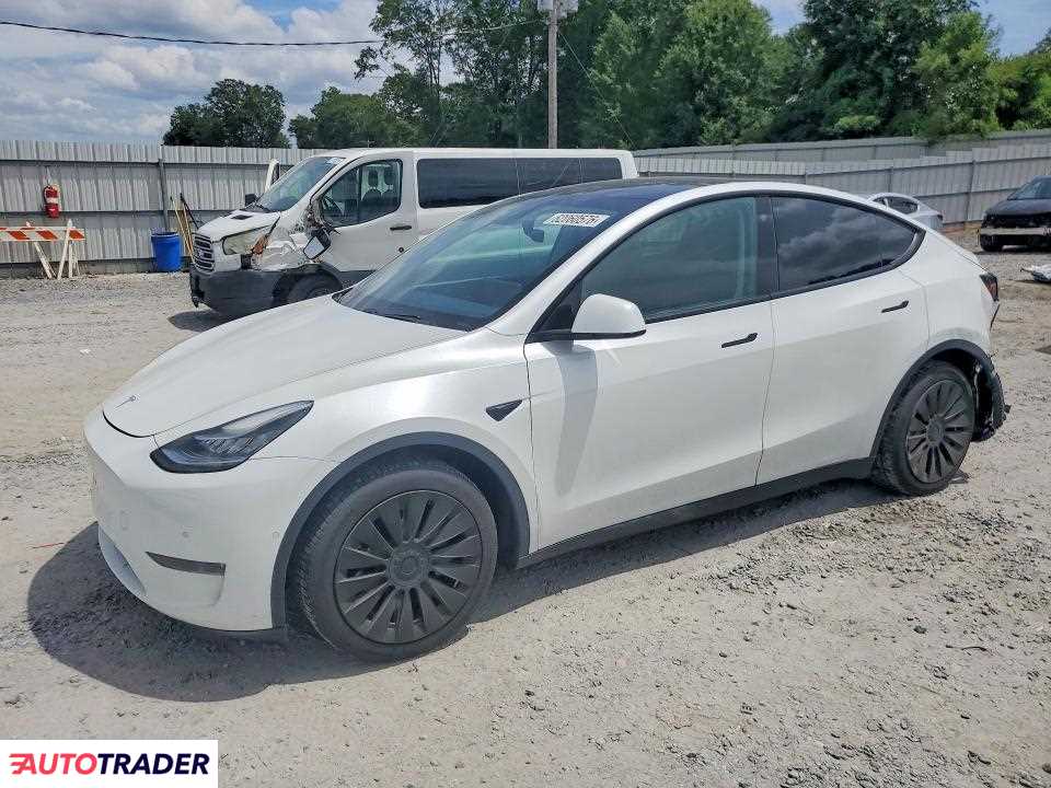 Tesla Model Y 2021