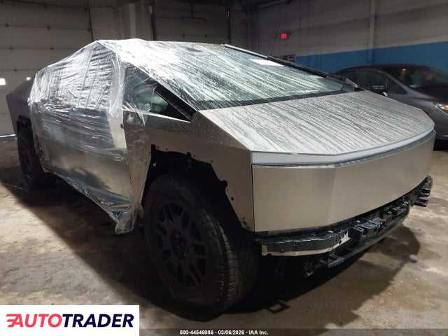 Tesla Pozostałe 2024