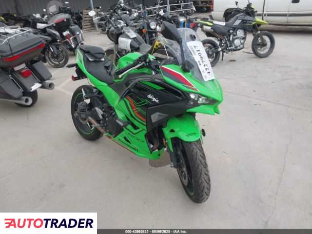 Kawasaki Pozostałe 2024 Kawasaki Pozostałe 2024
