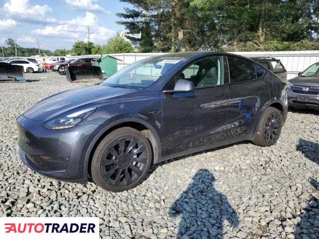 Tesla Model Y 2024