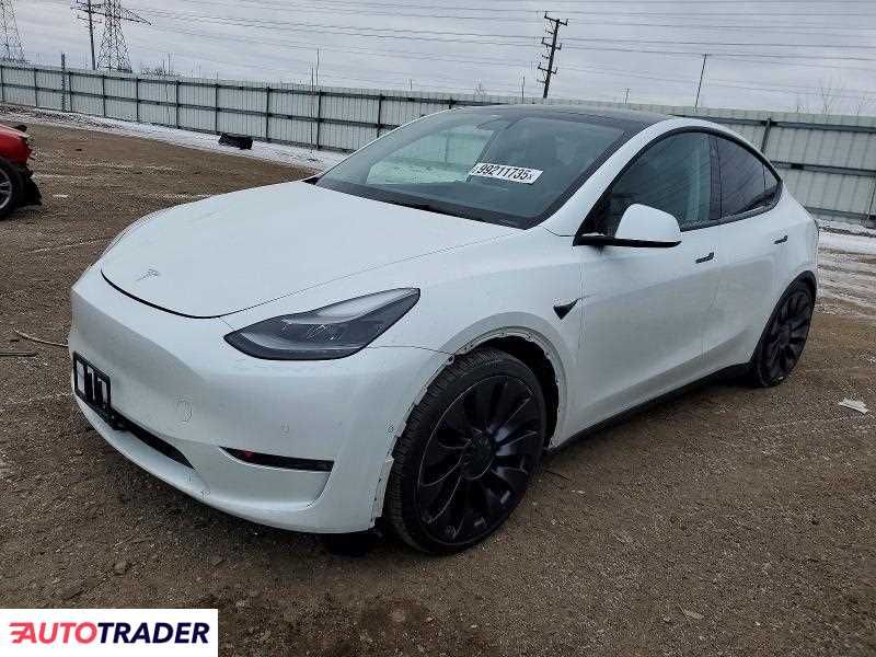 Tesla Model Y 2021
