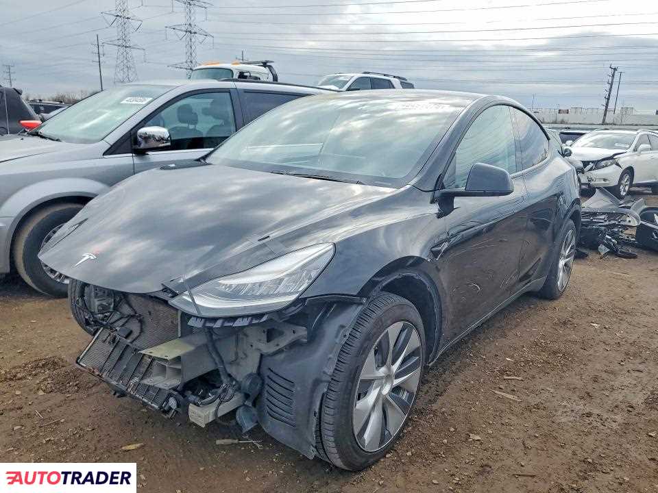 Tesla Model Y 2020
