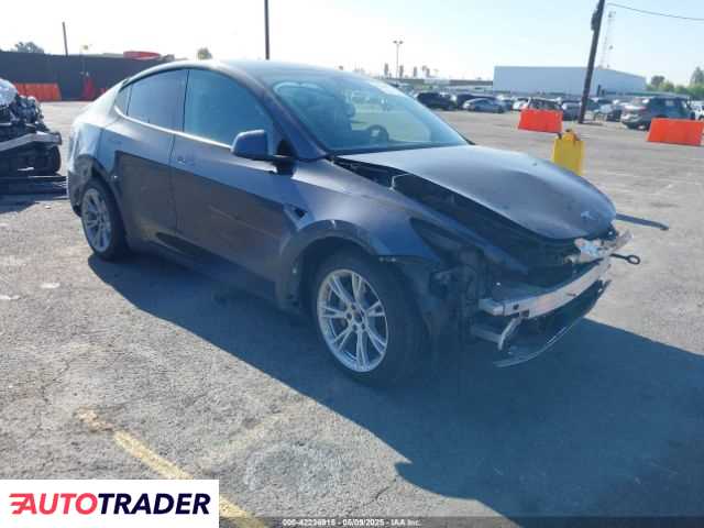 Tesla Model Y 2021 Tesla Model Y 2021