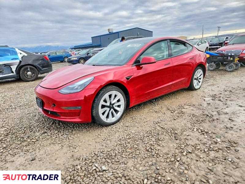 Tesla Model 3 2021