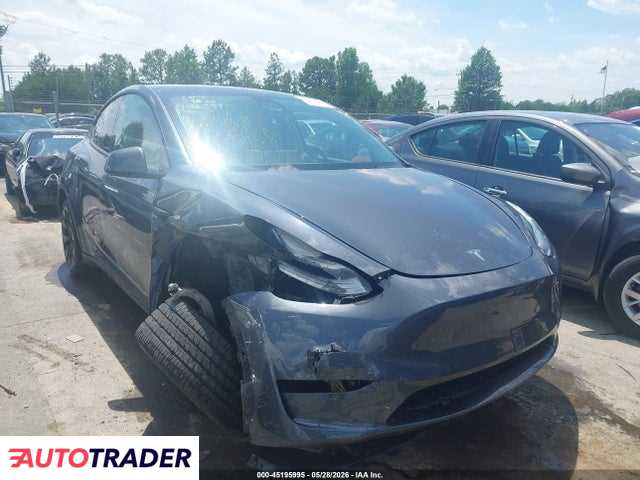 Tesla Model Y 2021