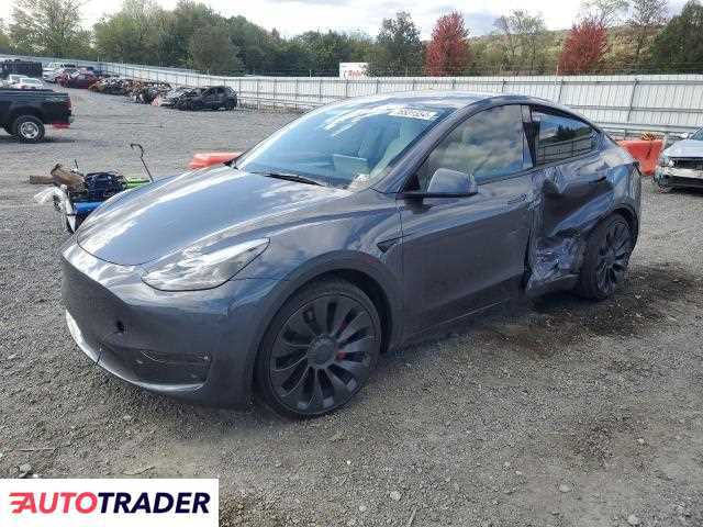 Tesla Model Y benzyna 2023r. (GRANTVILLE)