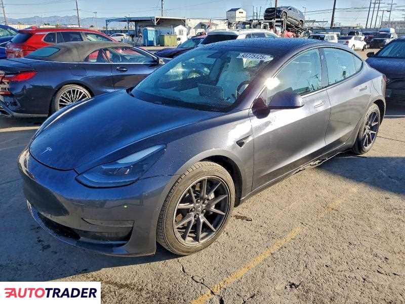 Tesla Model 3 2021