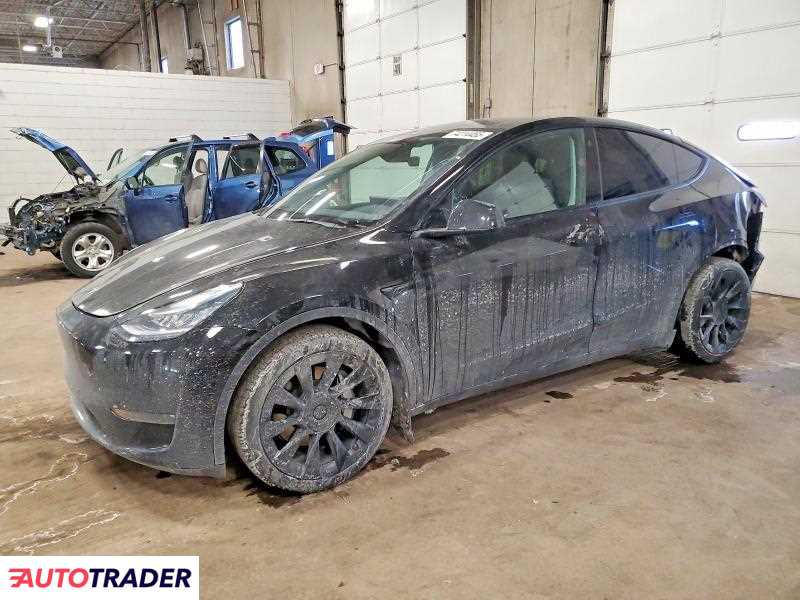 Tesla Model Y 2021