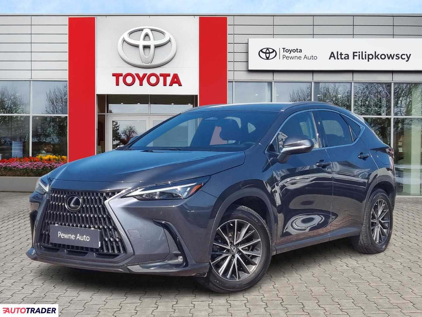 Lexus NX 2022 2.5 243 KM