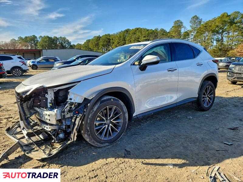 Lexus NX 2024 2