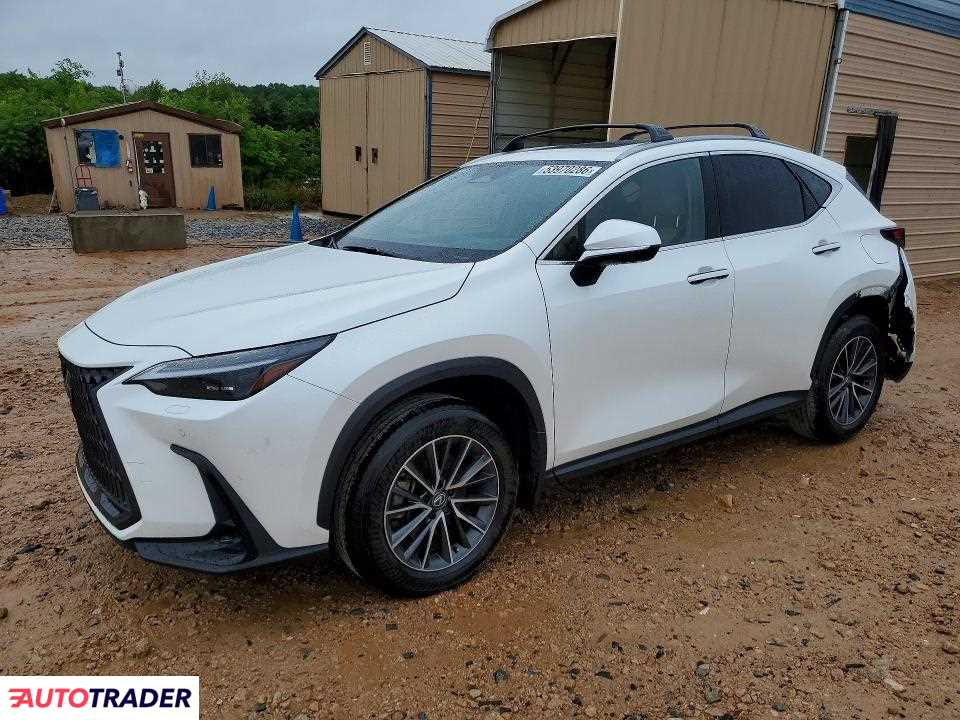 Lexus NX 2025 2